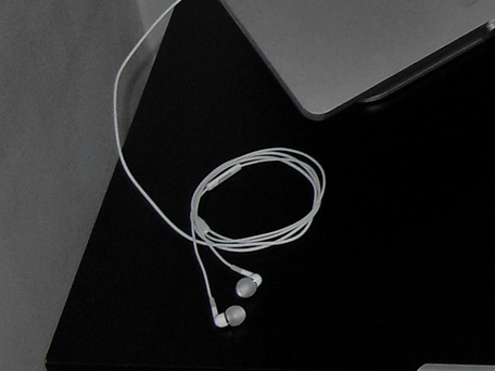 Apple in ear headphones