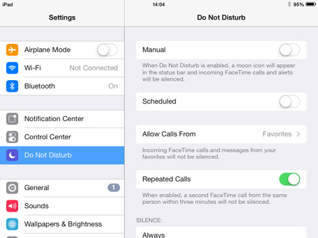 iPad Mini Do Not Disturb