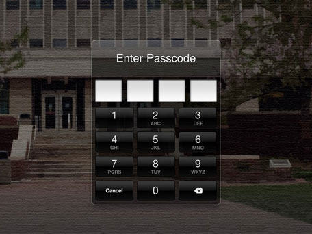 Forgotten iPad Passcode